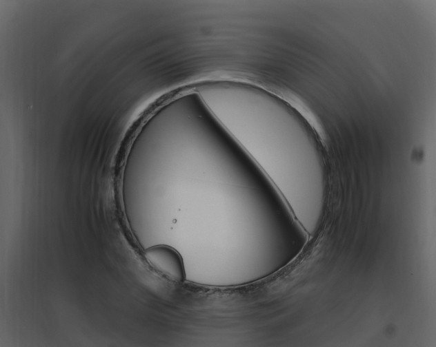 X0000096700972200802051057