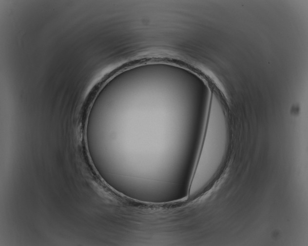 X0000096700973200802051057