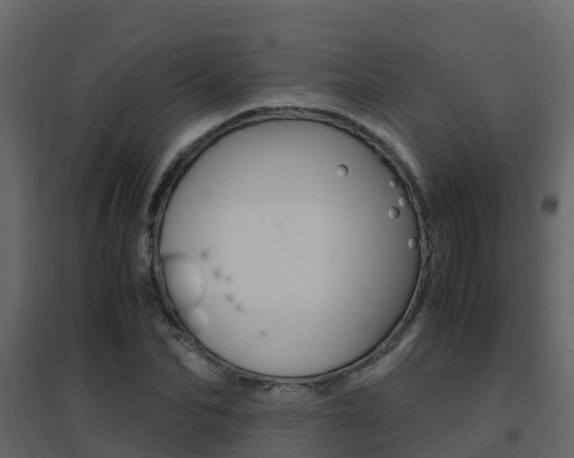 X0000096700974200802051057
