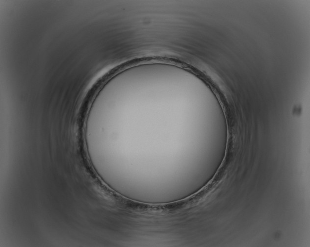 X0000096700975200802051057