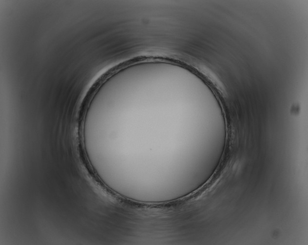X0000096700976200802051057