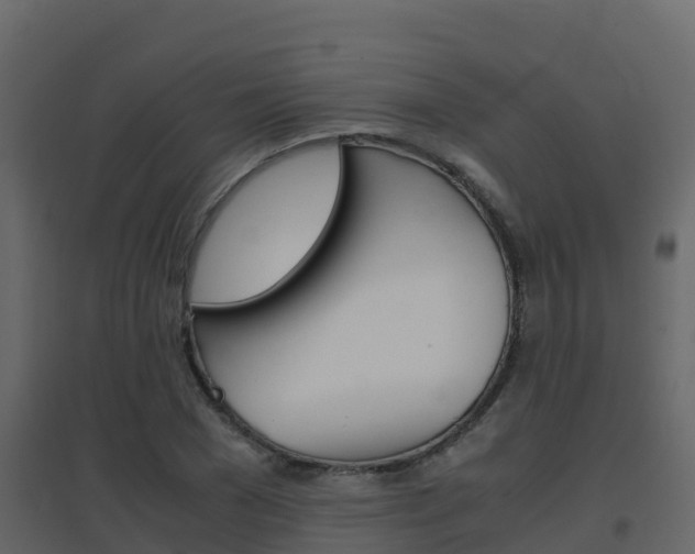 X0000096700977200802051057