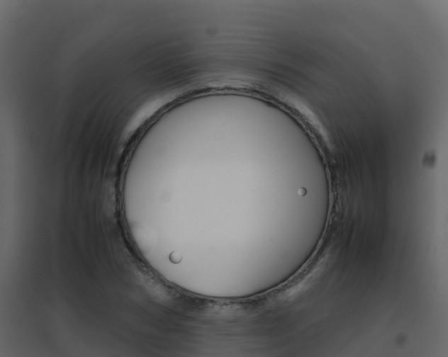 X0000096700978200802051057