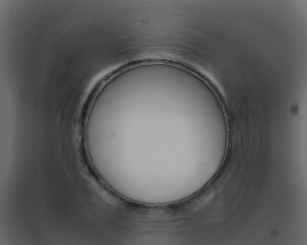 X0000096700979200802051057