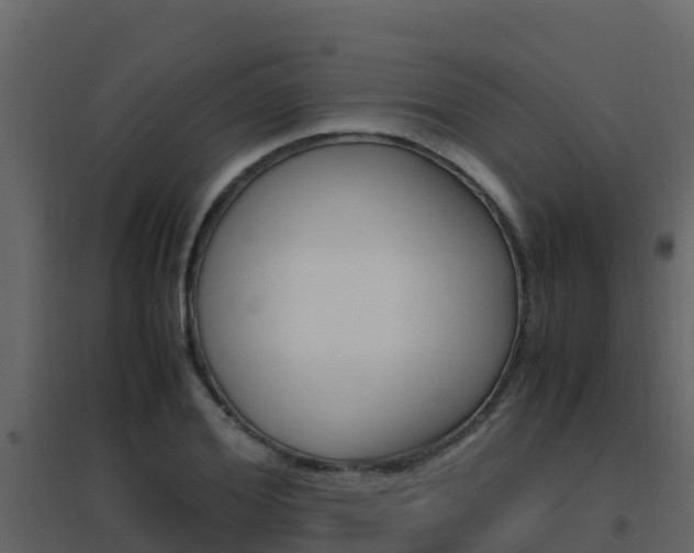 X0000096700980200802051057