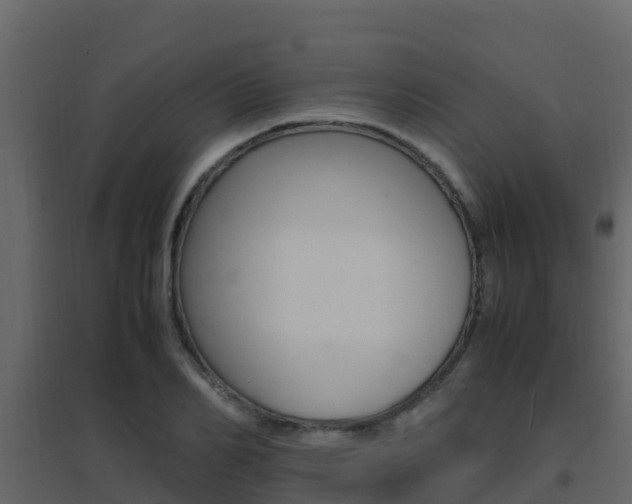 X0000096700982200802051057