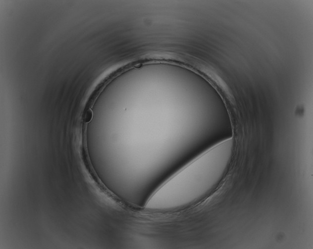 X0000096700984200802051057