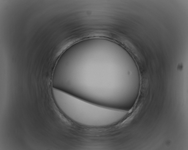 X0000096700985200802051057