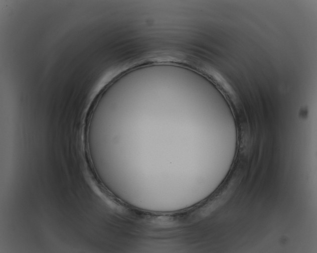 X0000096700986200802051057
