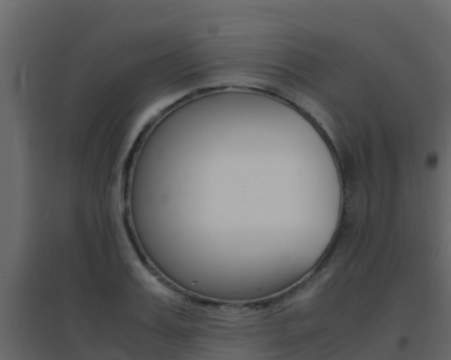 X0000096700987200802051057