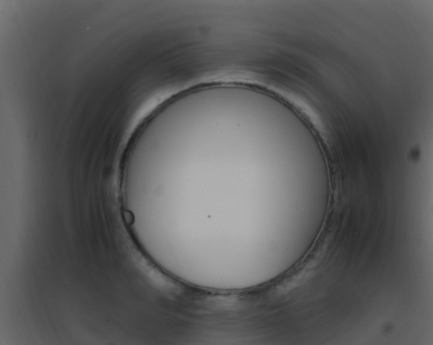 X0000096700990200802051057