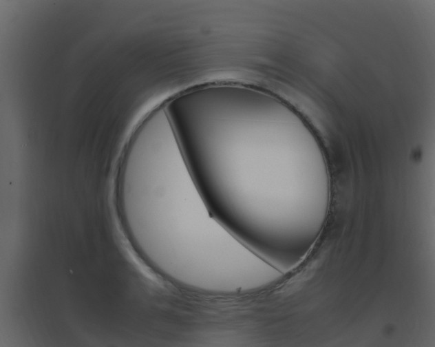 X0000096700991200802051057