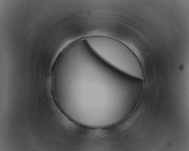 X0000096700992200802051057
