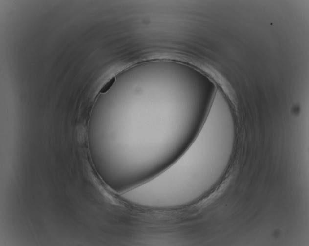 X0000096700993200802051057