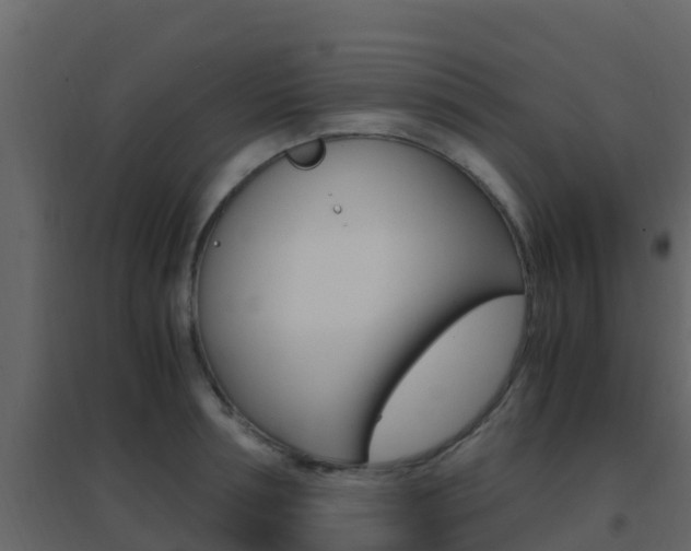X0000096700994200802051057