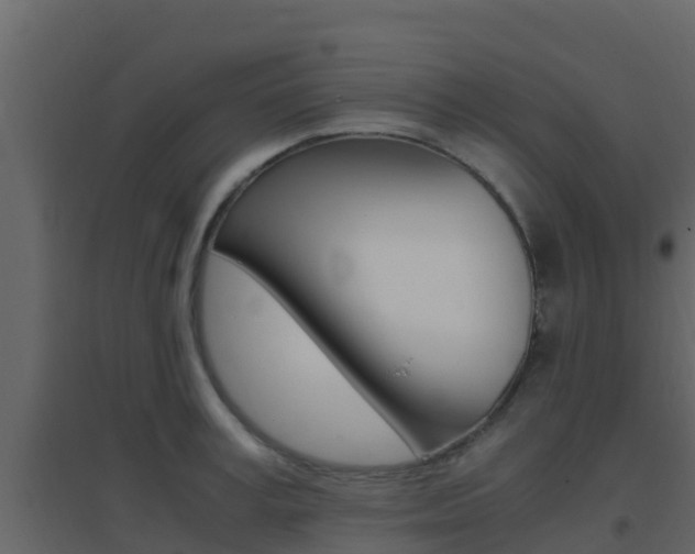 X0000096700995200802051057