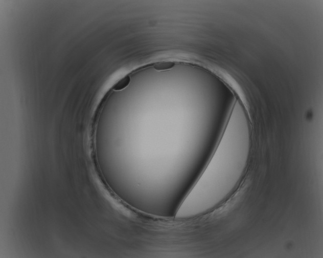 X0000096700997200802051057