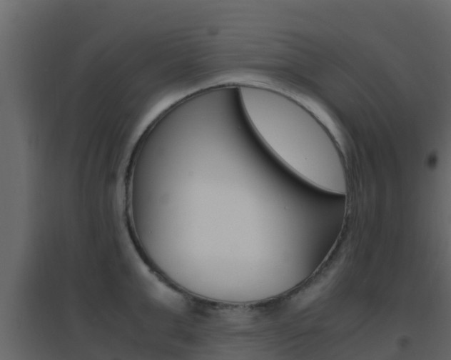 X0000096700999200802051057