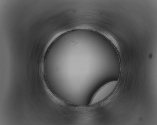 X0000096701000200802051057