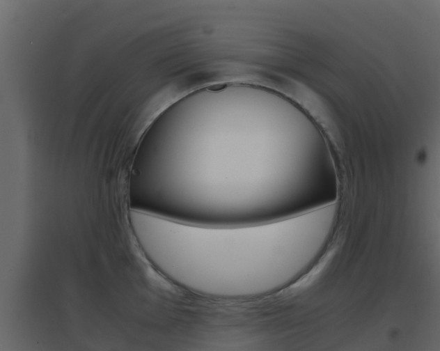 X0000096701001200802051057