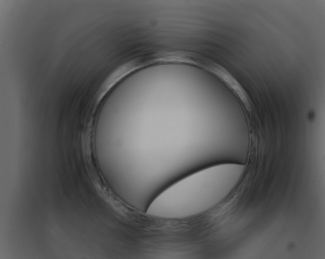 X0000096701002200802051057