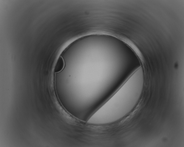 X0000096701004200802051057