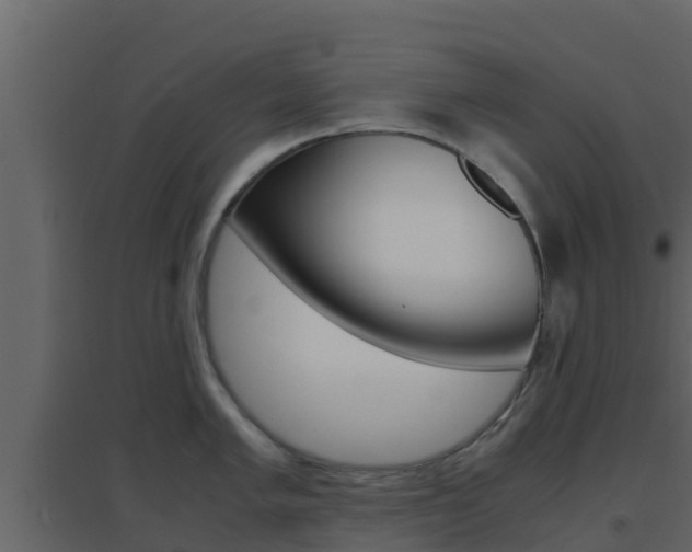 X0000096701005200802051057