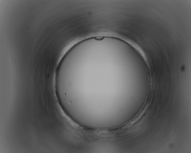 X0000096701006200802051057