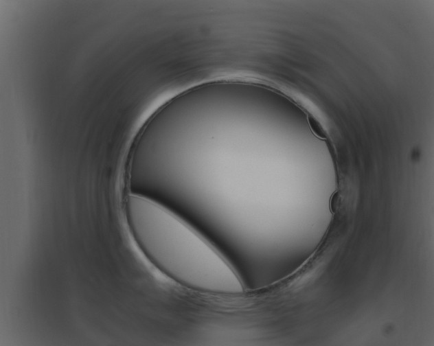 X0000096701007200802051057