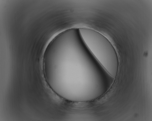 X0000096701008200802051057