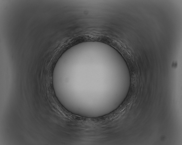 X0000096701009200802051056
