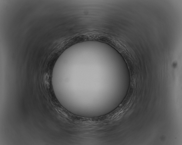 X0000096701010200802051056