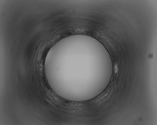 X0000096701011200802051056