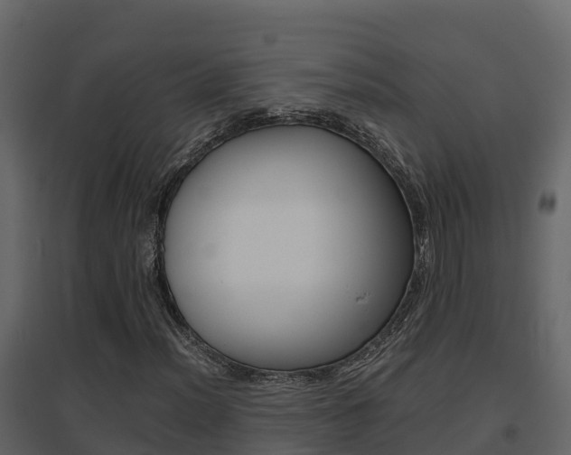 X0000096701012200802051056
