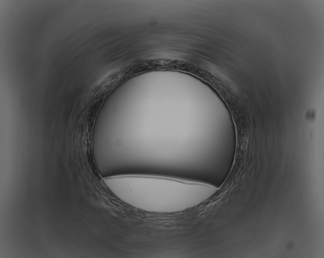 X0000096701014200802051056