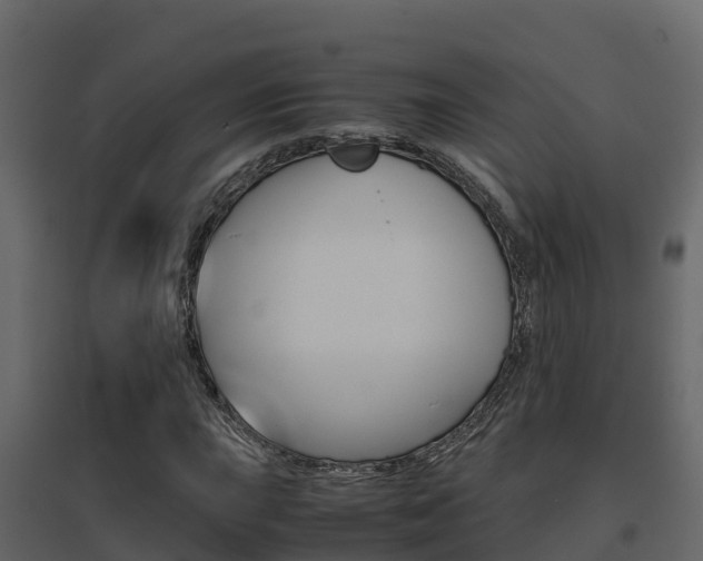 X0000096701015200802051056
