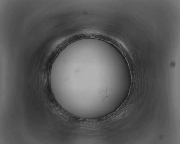 X0000096701016200802051056