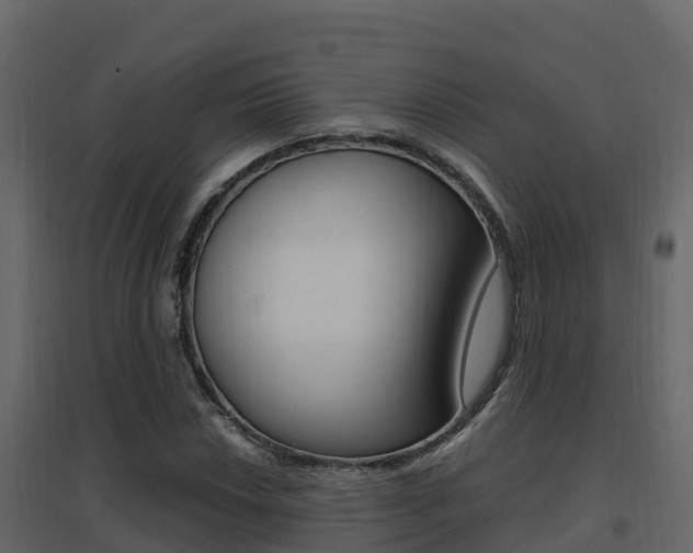 X0000096701018200802051056