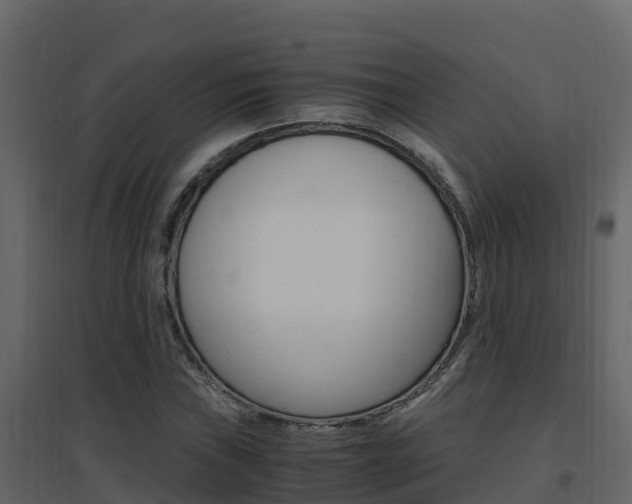 X0000096701019200802051056
