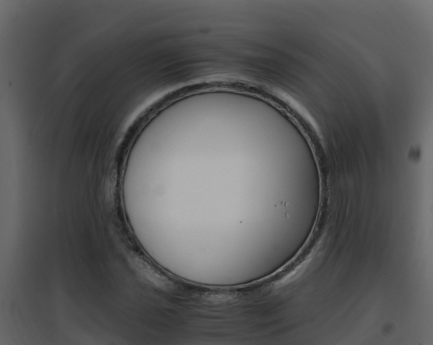X0000096701021200802051056