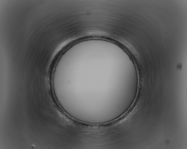 X0000096701022200802051056