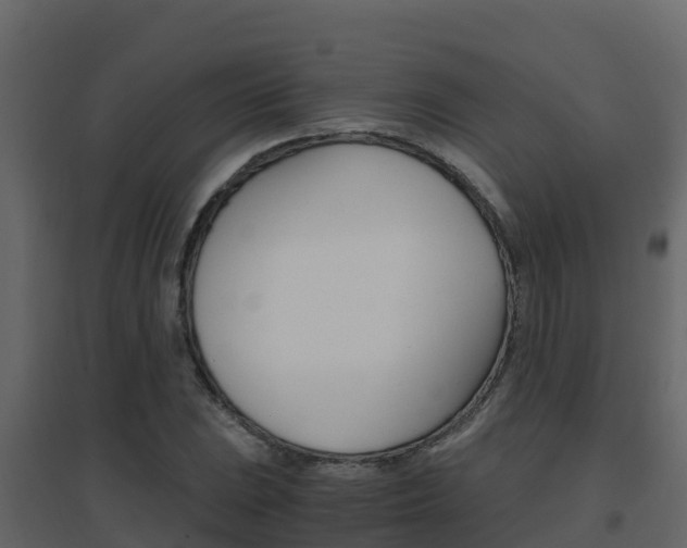X0000096701023200802051056