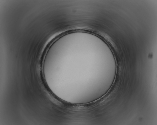 X0000096701024200802051056