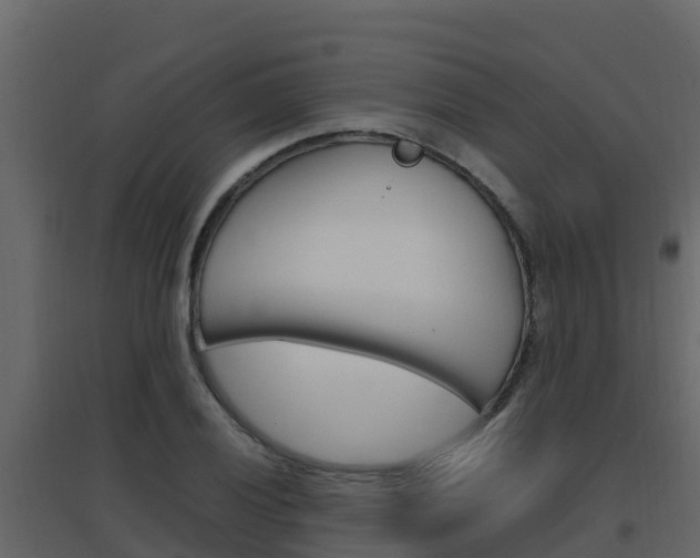 X0000096701028200802051056