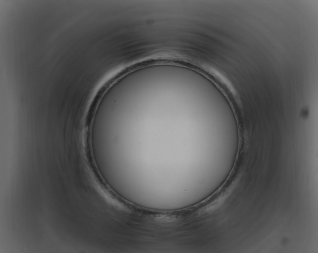 X0000096701029200802051056