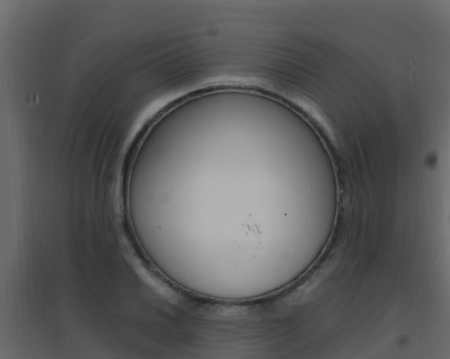 X0000096701030200802051056