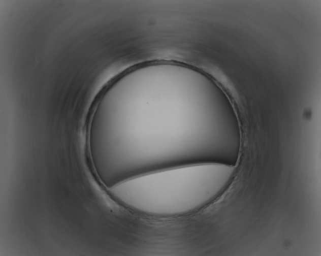X0000096701032200802051056