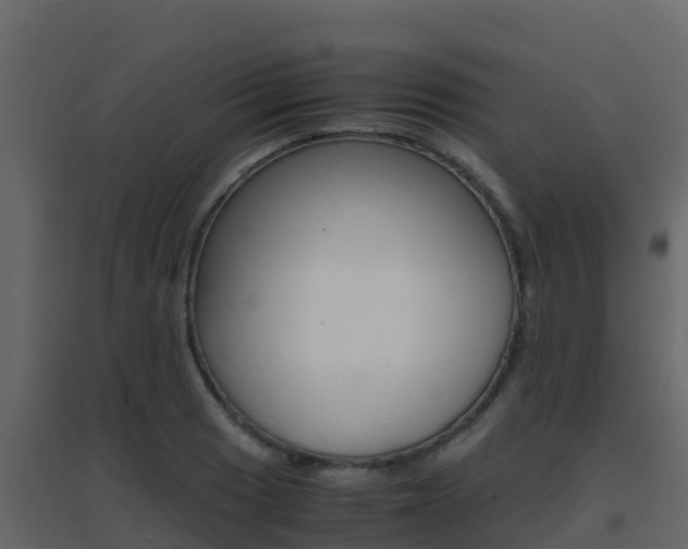 X0000096701033200802051056