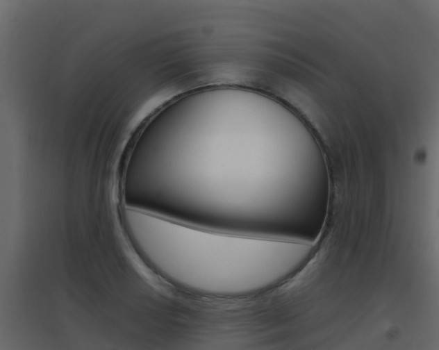 X0000096701034200802051056