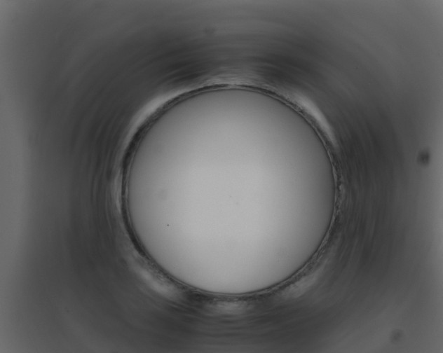 X0000096701035200802051056